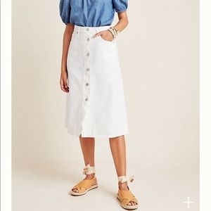 Citizens of Humanity Denim skirt